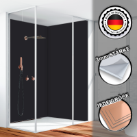 Duschrückwand Aluverbund Schwarz 9005