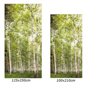 KeraWall Duschrückwand Birkenwald