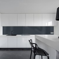 Küchenrückwand Spritzschutz Fliesenspiegel Küche Wandschutz 50x300cm Aluverbund Anthrazit 7016