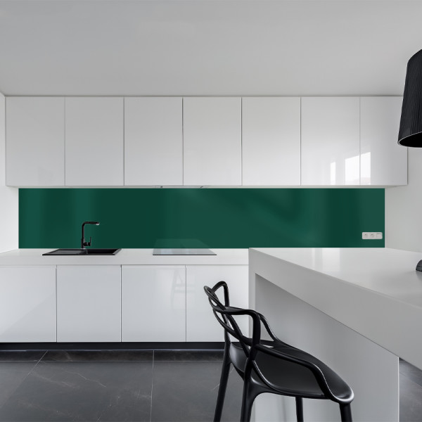Küchenrückwand Spritzschutz Fliesenspiegel Küche Wandschutz Aluverbund Moosgrün 6005