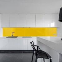 Küchenrückwand Spritzschutz Fliesenspiegel Küche Wandschutz 60x100cm Aluverbund Gelb 1023