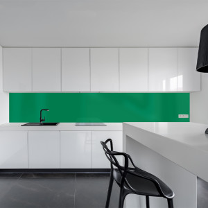 Küchenrückwand Spritzschutz Fliesenspiegel Küche Wandschutz Aluverbund Grün 6024