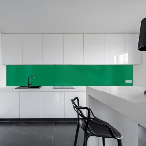 Küchenrückwand Spritzschutz Fliesenspiegel Küche Wandschutz 60x160cm Aluverbund Grün 6024