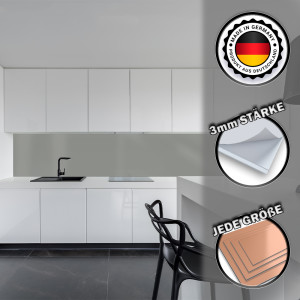 Küchenrückwand Spritzschutz Fliesenspiegel Küche Wandschutz Aluverbund Silber Metallic 9006