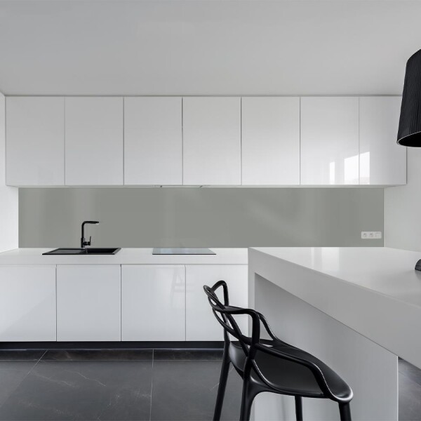 Küchenrückwand Spritzschutz Fliesenspiegel Küche Wandschutz 60x160cm Aluverbund Silber Metallic 9006