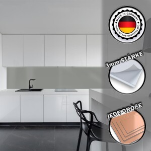 Küchenrückwand Spritzschutz Fliesenspiegel Küche Wandschutz 60x160cm Aluverbund Silber Metallic 9006