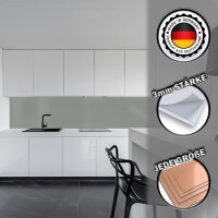 Küchenrückwand Spritzschutz Fliesenspiegel Küche Wandschutz 60x160cm Aluverbund Silber Metallic 9006