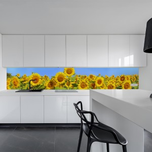 Küchenrückwand aus Aluverbund 3mm  - Sonnenblumen - 0206