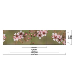 Küchenrückwand aus Aluverbund 3mm  - Kirschblüten - 2031