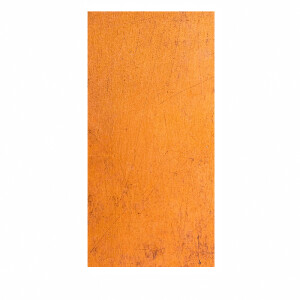 Duschrückwand Aluverbund Wand Orange - 7890