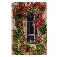 Rosenfenster